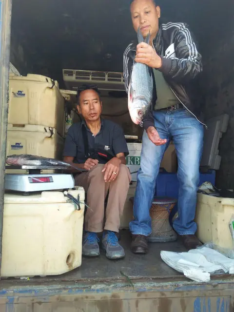CBS Parents helping during Sales Day - Fish from Doyang River 